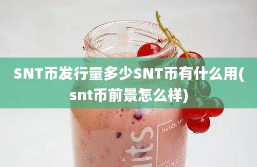 SNT币发行量多少SNT币有什么用(snt币前景怎么样)