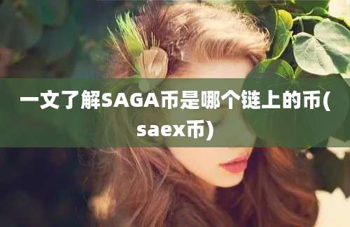 一文了解SAGA币是哪个链上的币(saex币)