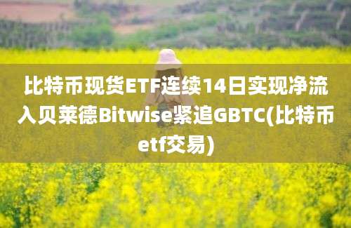 比特币现货ETF连续14日实现净流入贝莱德Bitwise紧追GBTC(比特币etf交易)