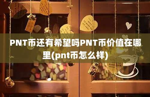 PNT币还有希望吗PNT币价值在哪里(pnt币怎么样)