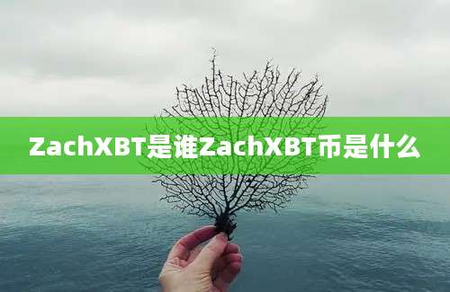 ZachXBT是谁ZachXBT币是什么