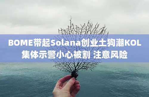 BOME带起Solana创业土狗潮KOL集体示警小心被割 注意风险