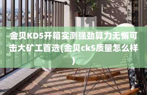 金贝KD5开箱实测强劲算力无懈可击大矿工首选(金贝ck5质量怎么样)