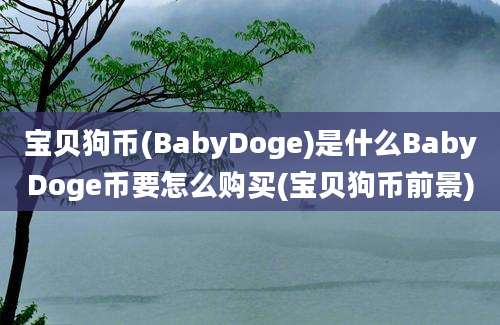 宝贝狗币(BabyDoge)是什么BabyDoge币要怎么购买(宝贝狗币前景)