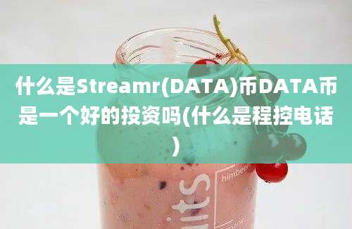 什么是Streamr(DATA)币DATA币是一个好的投资吗(什么是程控电话)