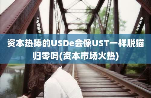 资本热捧的USDe会像UST一样脱锚归零吗(资本市场火热)