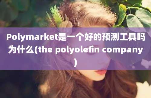 Polymarket是一个好的预测工具吗为什么(the polyolefin company)