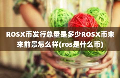 ROSX币发行总量是多少ROSX币未来前景怎么样(ros是什么币)