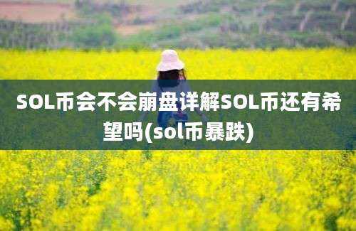 SOL币会不会崩盘详解SOL币还有希望吗(sol币暴跌)