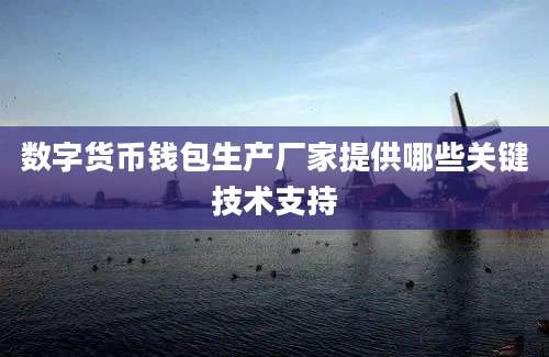 数字货币钱包生产厂家提供哪些关键技术支持