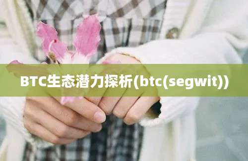 BTC生态潜力探析(btc(segwit))