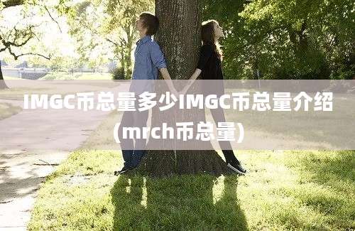 IMGC币总量多少IMGC币总量介绍(mrch币总量)