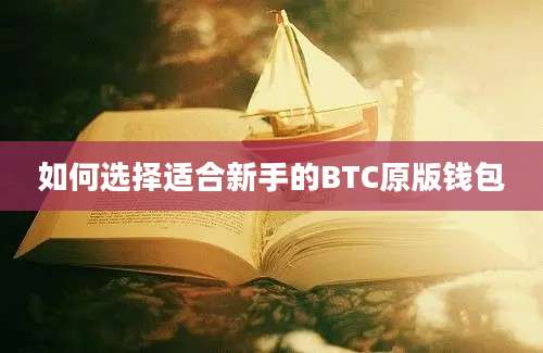 如何选择适合新手的BTC原版钱包