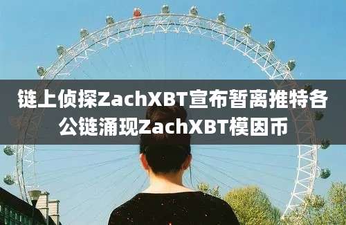 链上侦探ZachXBT宣布暂离推特各公链涌现ZachXBT模因币