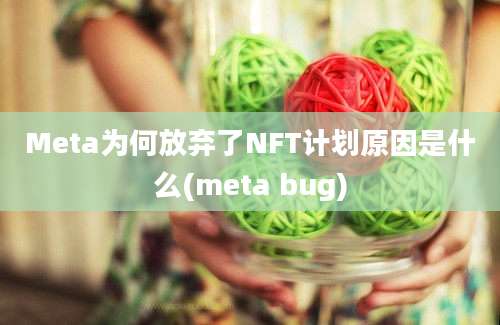 Meta为何放弃了NFT计划原因是什么(meta bug)