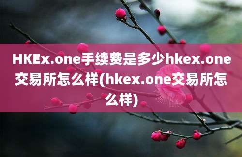 HKEx.one手续费是多少hkex.one交易所怎么样(hkex.one交易所怎么样)