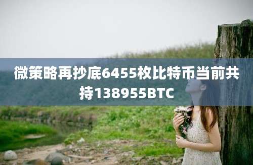 微策略再抄底6455枚比特币当前共持138955BTC