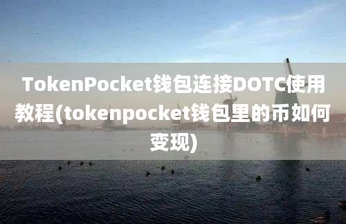 TokenPocket钱包连接DOTC使用教程(tokenpocket钱包里的币如何变现)