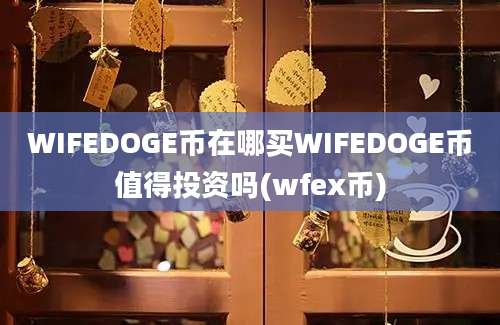 WIFEDOGE币在哪买WIFEDOGE币值得投资吗(wfex币)