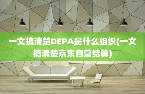 一文搞清楚DEPA是什么组织(一文搞清楚京东自营结算)