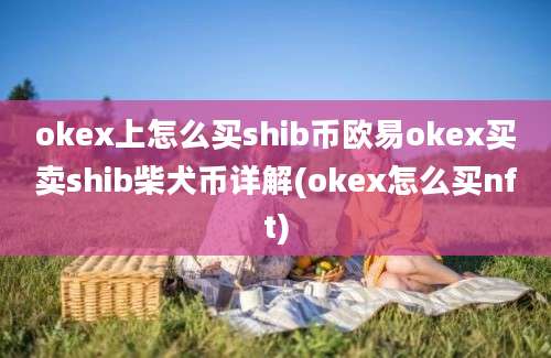 okex上怎么买shib币欧易okex买卖shib柴犬币详解(okex怎么买nft)