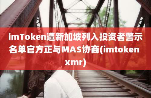 imToken遭新加坡列入投资者警示名单官方正与MAS协商(imtoken xmr)