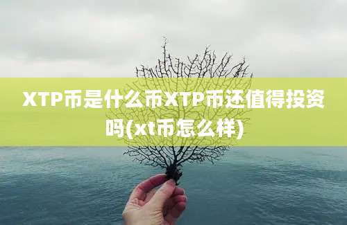 XTP币是什么币XTP币还值得投资吗(xt币怎么样)