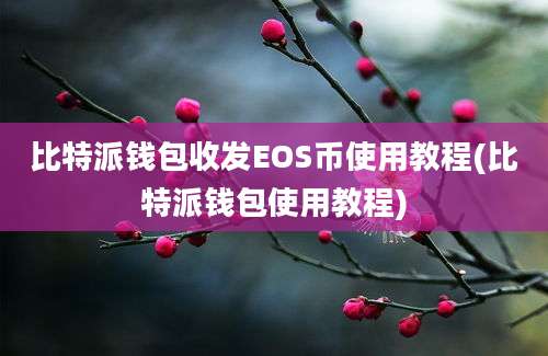 比特派钱包收发EOS币使用教程(比特派钱包使用教程)