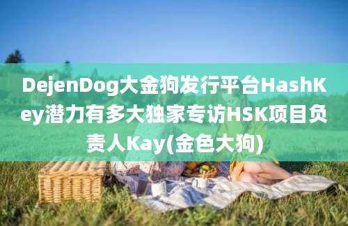 DejenDog大金狗发行平台HashKey潜力有多大独家专访HSK项目负责人Kay(金色大狗)