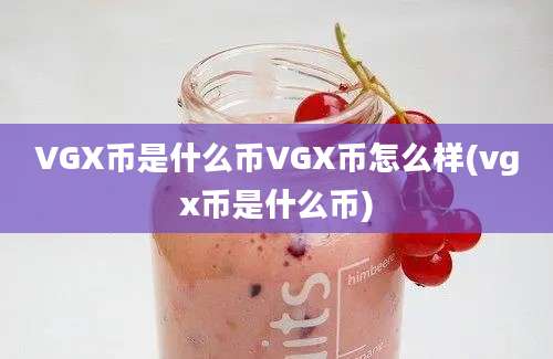 VGX币是什么币VGX币怎么样(vgx币是什么币)