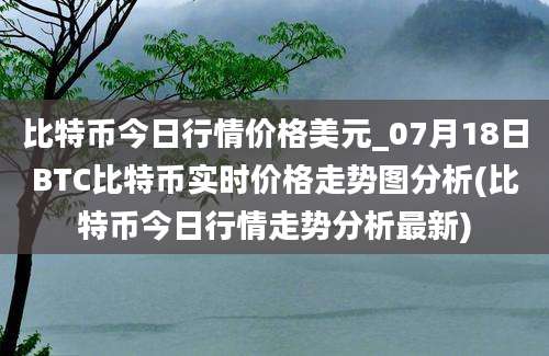 比特币今日行情价格美元_07月18日BTC比特币实时价格走势图分析(比特币今日行情走势分析最新)