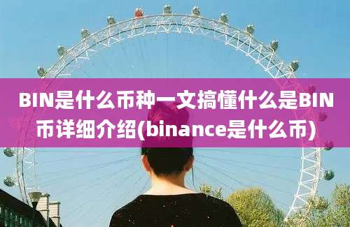 BIN是什么币种一文搞懂什么是BIN币详细介绍(binance是什么币)