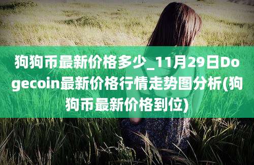 狗狗币最新价格多少_11月29日Dogecoin最新价格行情走势图分析(狗狗币最新价格到位)