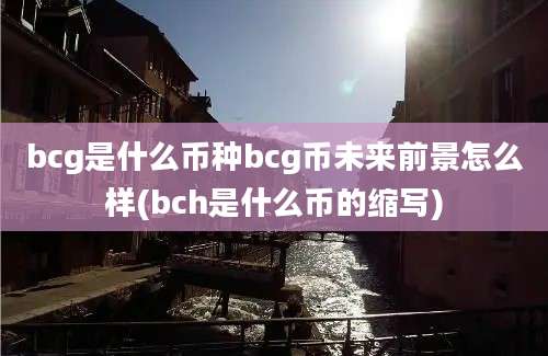 bcg是什么币种bcg币未来前景怎么样(bch是什么币的缩写)