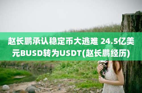 赵长鹏承认稳定币大逃难 24.5亿美元BUSD转为USDT(赵长鹏经历)