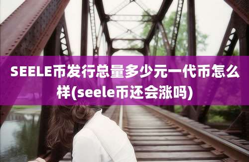 SEELE币发行总量多少元一代币怎么样(seele币还会涨吗)