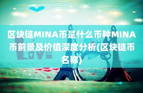 区块链MINA币是什么币种MINA币前景及价值深度分析(区块链币名称)