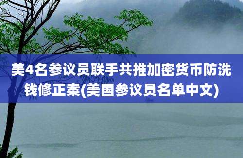 美4名参议员联手共推加密货币防洗钱修正案(美国参议员名单中文)