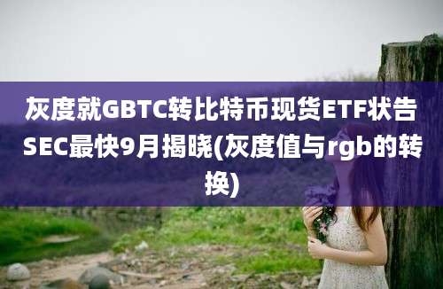 灰度就GBTC转比特币现货ETF状告SEC最快9月揭晓(灰度值与rgb的转换)