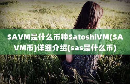 SAVM是什么币种SatoshiVM(SAVM币)详细介绍(sas是什么币)