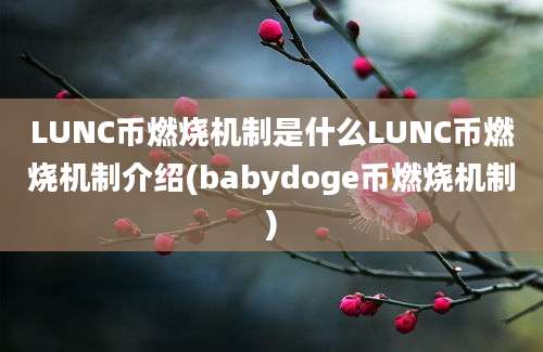 LUNC币燃烧机制是什么LUNC币燃烧机制介绍(babydoge币燃烧机制)