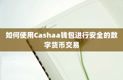 如何使用Cashaa钱包进行安全的数字货币交易