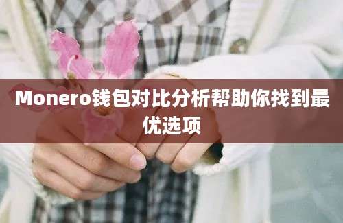 Monero钱包对比分析帮助你找到最优选项