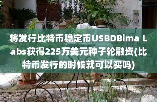 将发行比特币稳定币USBDBima Labs获得225万美元种子轮融资(比特币发行的时候就可以买吗)