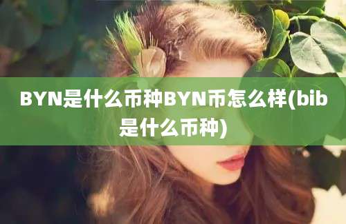 BYN是什么币种BYN币怎么样(bib是什么币种)