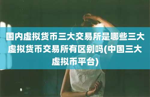 国内虚拟货币三大交易所是哪些三大虚拟货币交易所有区别吗(中国三大虚拟币平台)