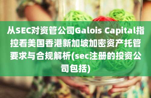 从SEC对资管公司Galois Capital指控看美国香港新加坡加密资产托管要求与合规解析(sec注册的投资公司包括)