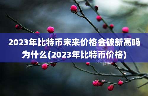 2023年比特币未来价格会破新高吗为什么(2023年比特币价格)