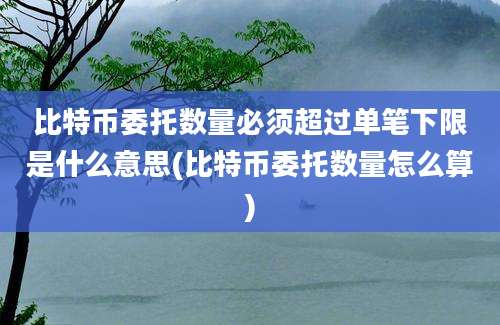 比特币委托数量必须超过单笔下限是什么意思(比特币委托数量怎么算)