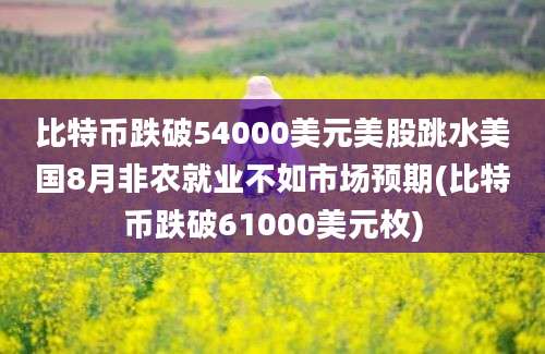 比特币跌破54000美元美股跳水美国8月非农就业不如市场预期(比特币跌破61000美元枚)